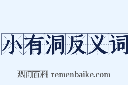 小有洞反义词是什么意思的图片